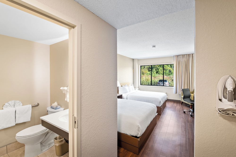 Standard Room, 2 Queen Beds, Mobility Accessible photo 3