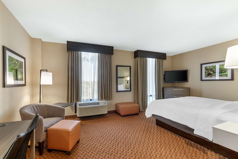 Room, 1 King Bed, Non Smoking, Microwave