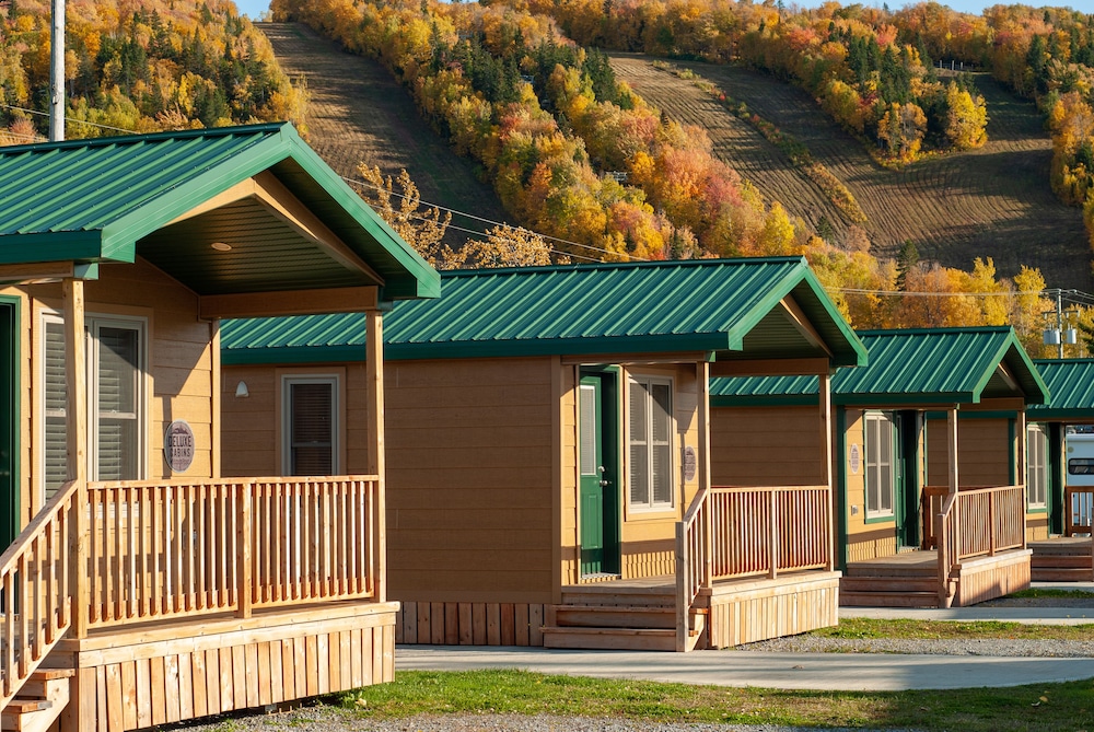 Deluxe Cabin, 1 Bedroom, Kitchenette, Lake View photo 1