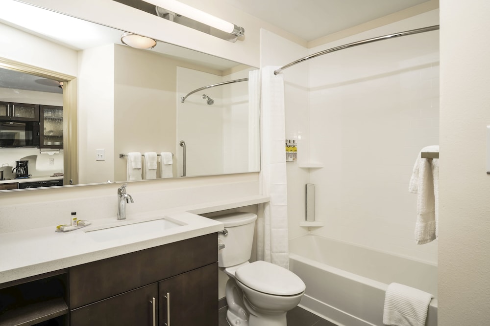 Studio Suite, 1 King Bed, Kitchen photo 3