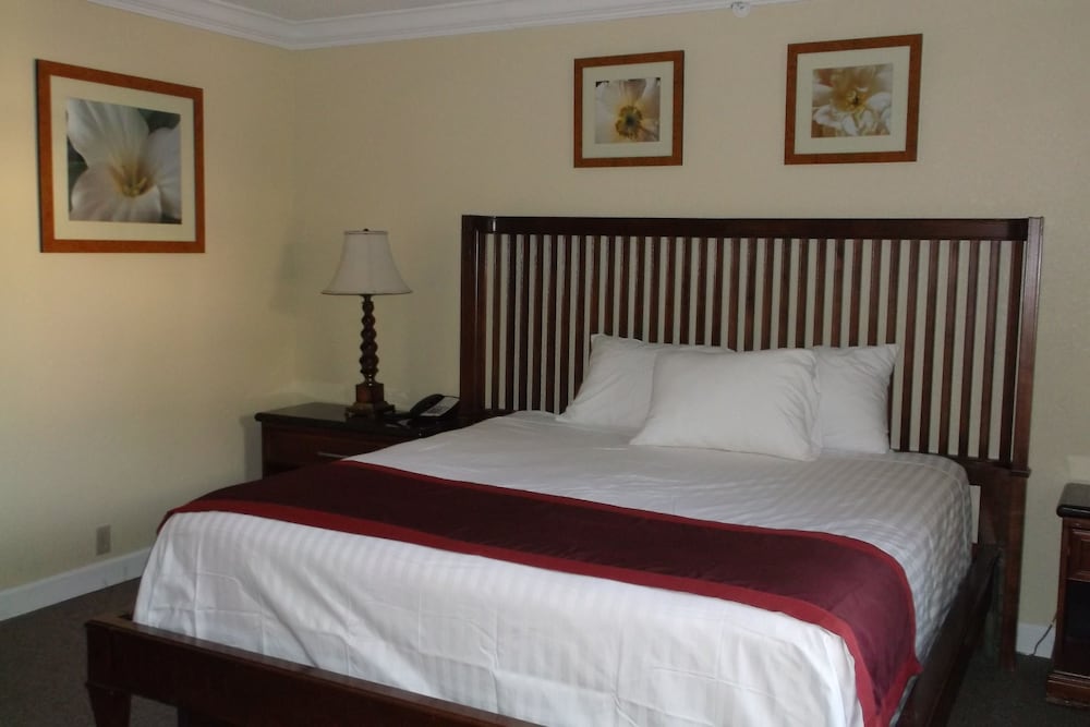 Studio Suite, 1 King Bed, Non Smoking photo 3