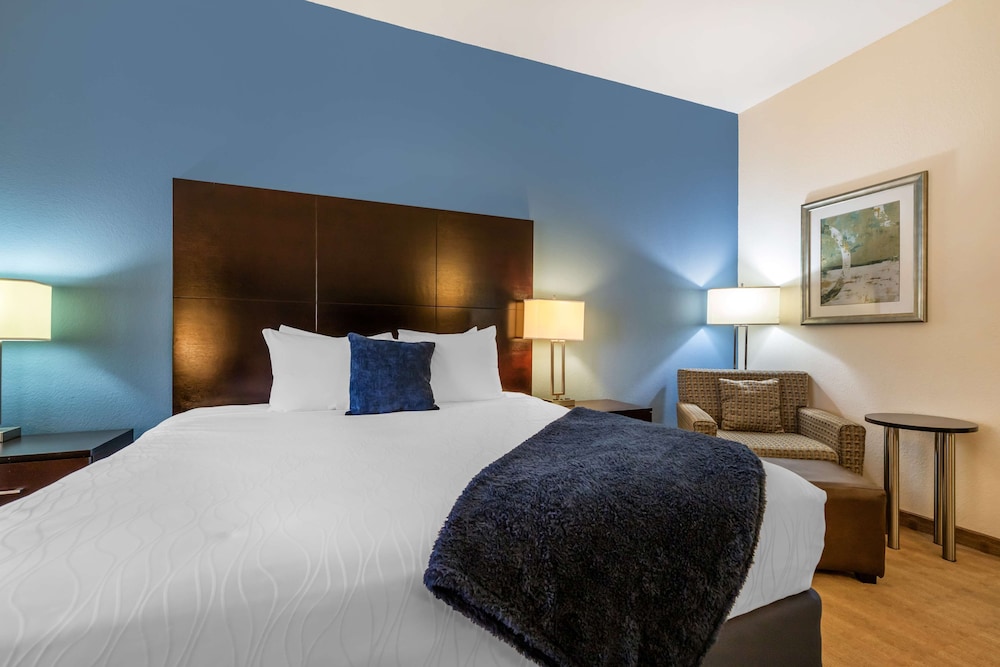Standard Room, 1 King Bed, Non Smoking, Refrigerator & Microwave