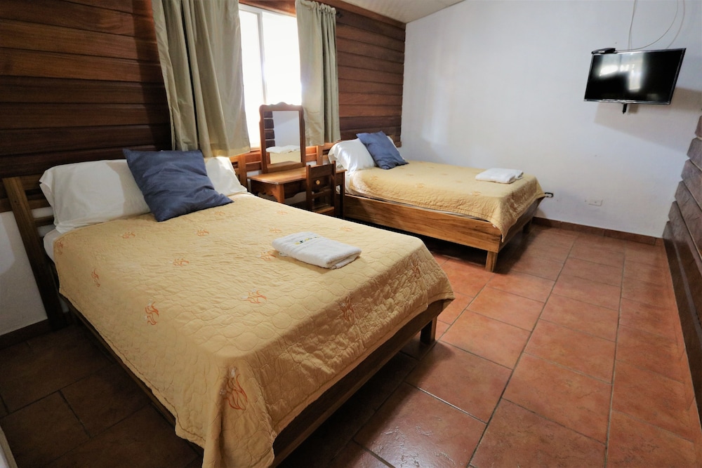 Basic Quadruple Room, 2 Double Beds photo 2