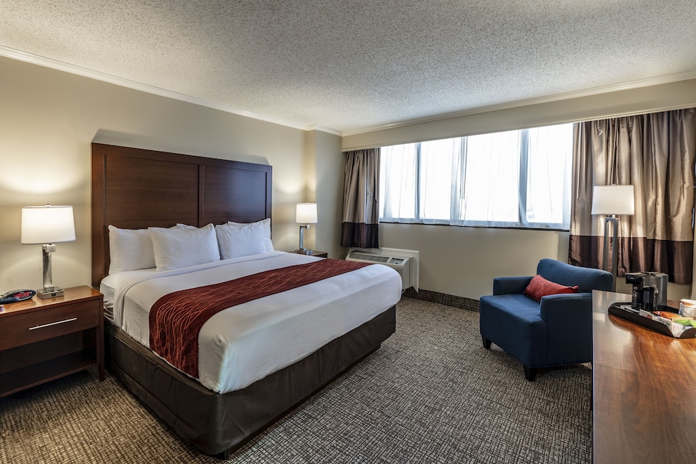 Junior Studio Suite, 1 King Bed with Sofa bed, Non Smoking photo 2
