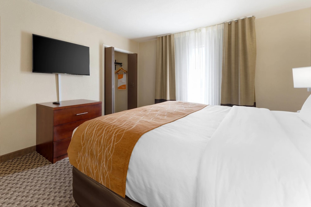 Standard Room, 1 King Bed, Non Smoking - Photo 1
