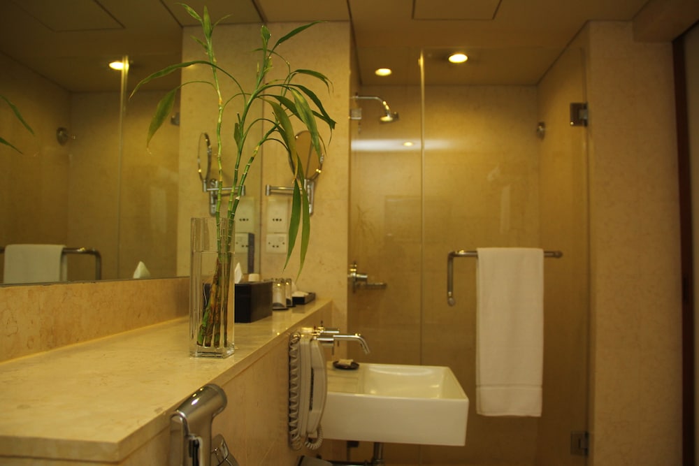 Deluxe Room - Photo 5