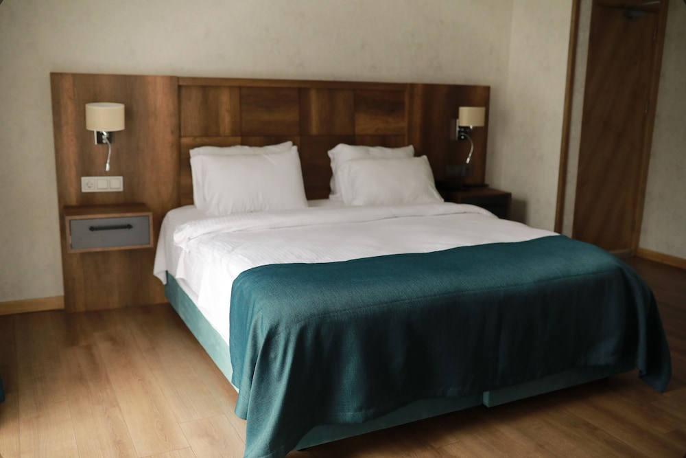Standard Double Room, Mountain View