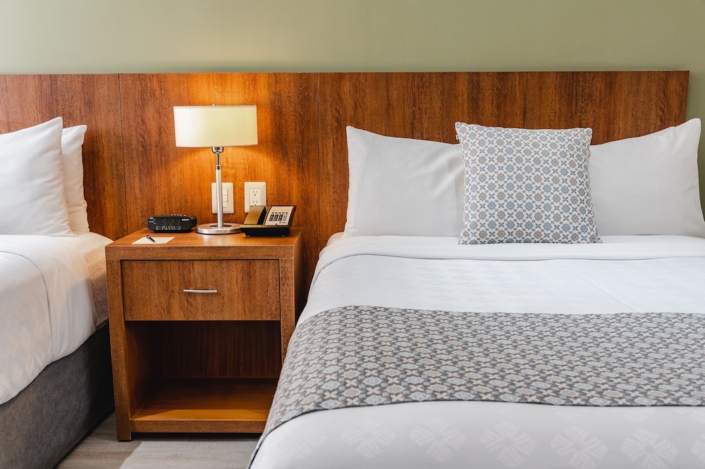 Standard Room, 2 Double Beds - Photo 17