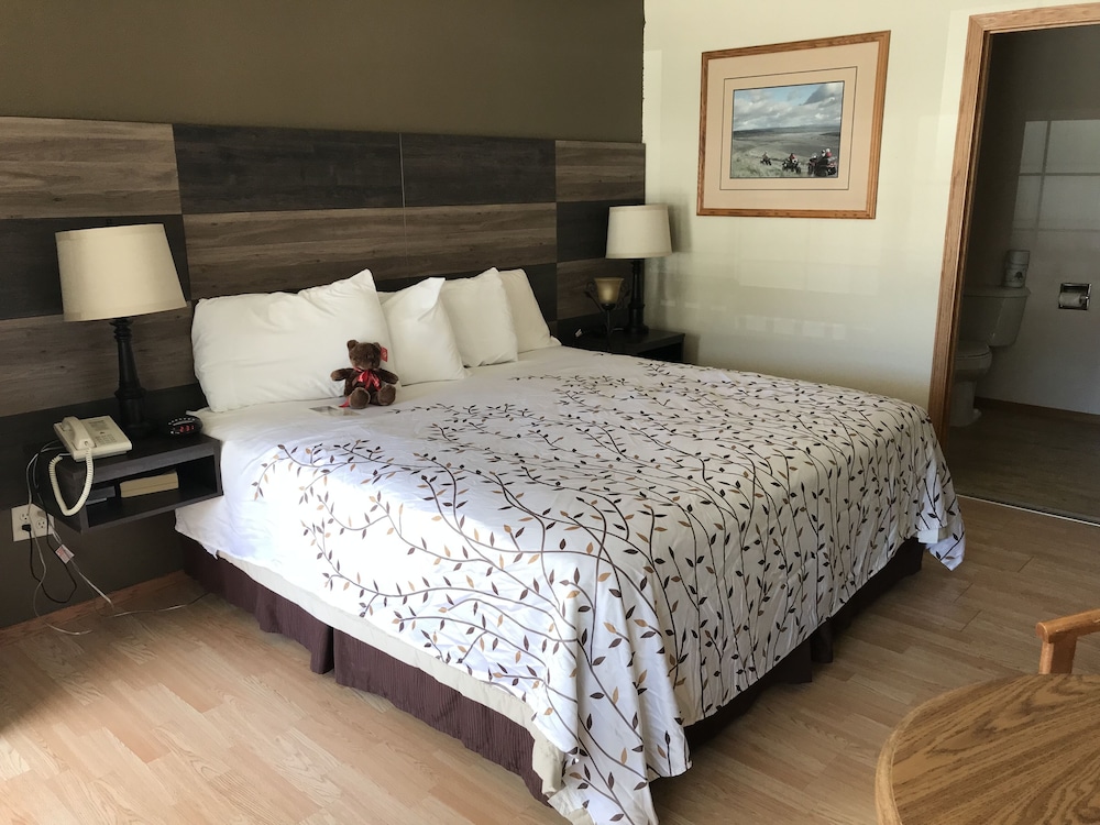 Standard Single Room, 1 King Bed, Accessible, Refrigerator & Microwave