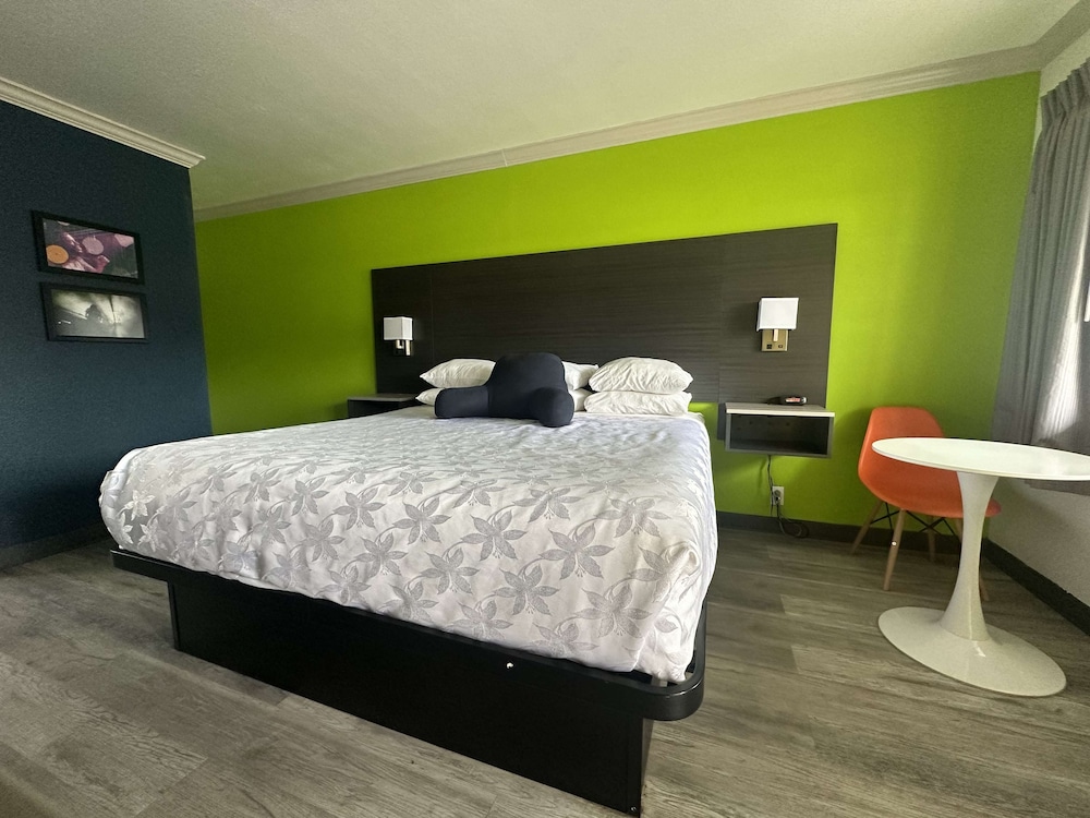Room, 1 King Bed, Non Smoking photo 1