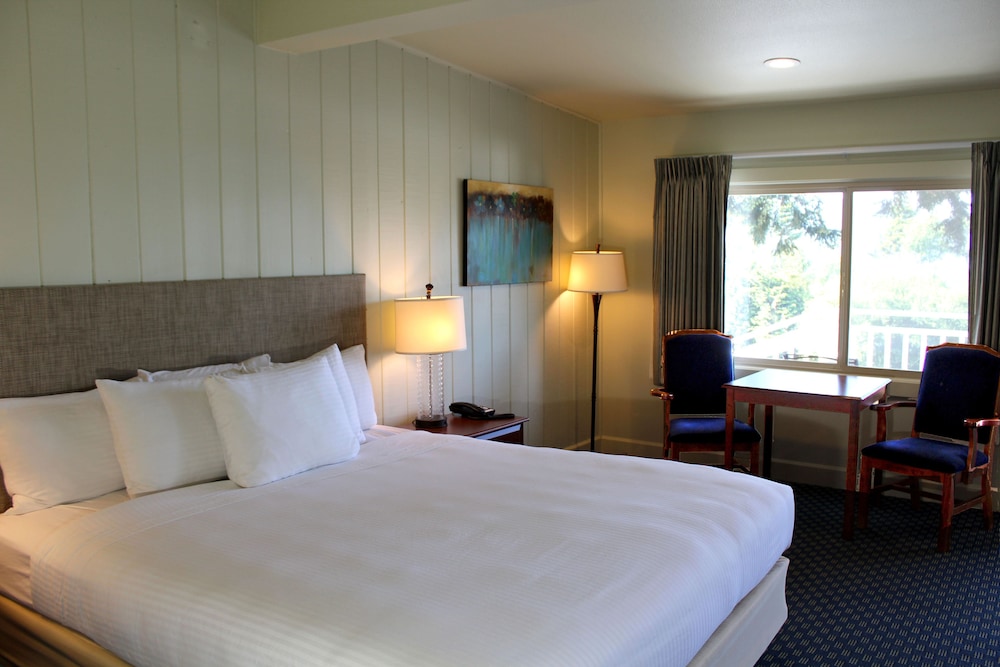 King Suite photo 2