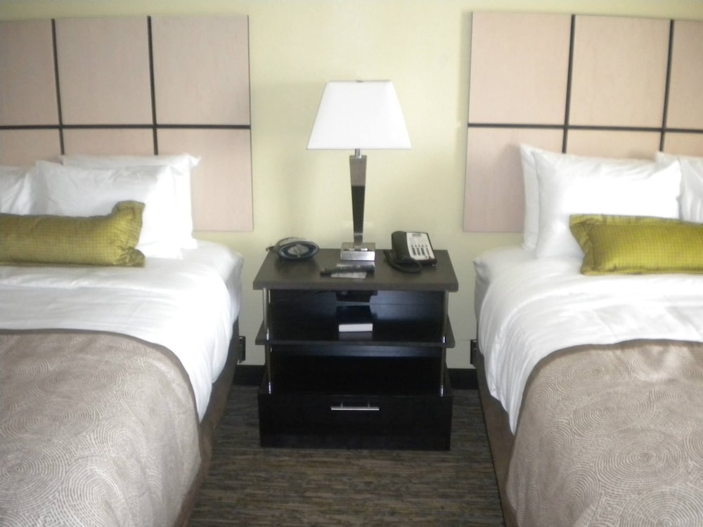 Studio Suite, 2 Queen Beds (Full Kitchen) photo 3