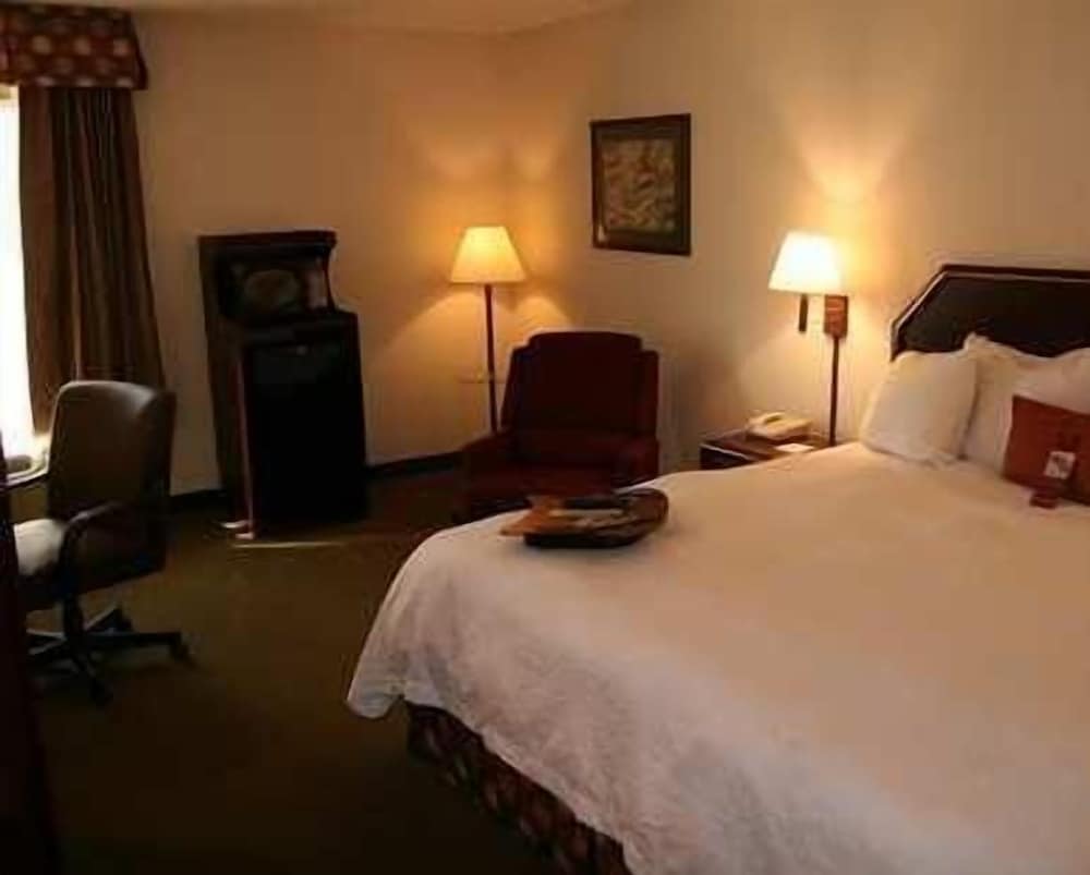 Suite, 1 King Bed, Non Smoking - Photo 4