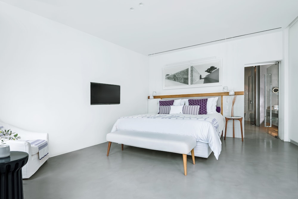 Deluxe Room (with Plunge Pool) - Photo 10