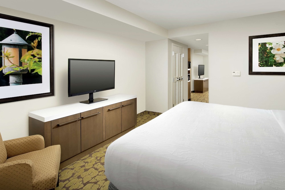 Suite, 1 King Bed with Sofa bed photo 3