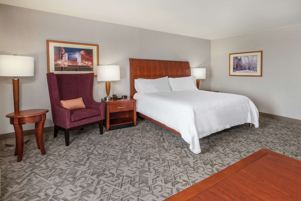 Room, 1 King Bed, Accessible (Roll-In Shower, Mobility & Hearing) - Photo 3