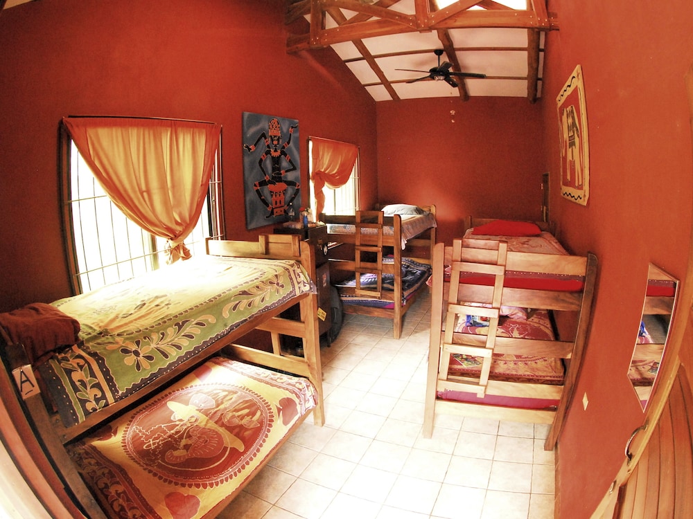 Shared Dormitory, Mixed Dorm photo 1