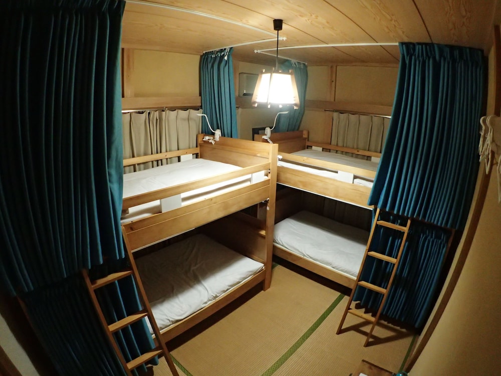 Bunk Bed in Mixed Dormitory Room photo 1