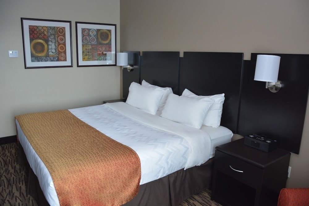 Luxury Room, 1 King Bed photo 2