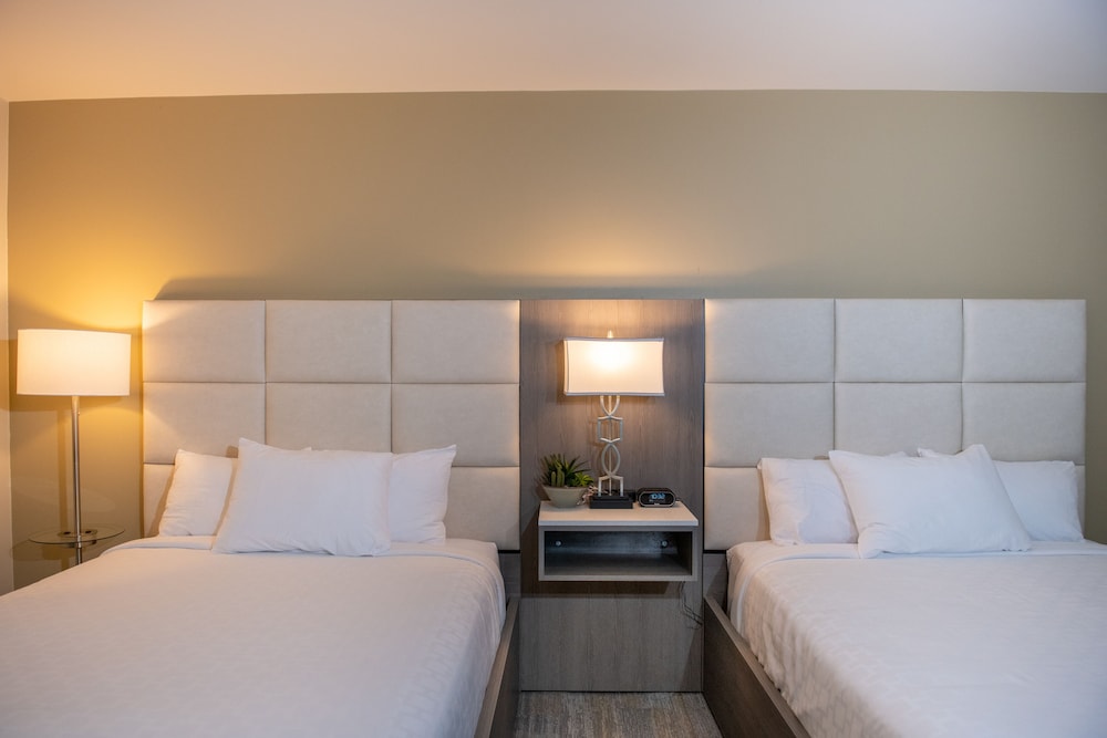 Suite, 2 Queen Beds photo 1
