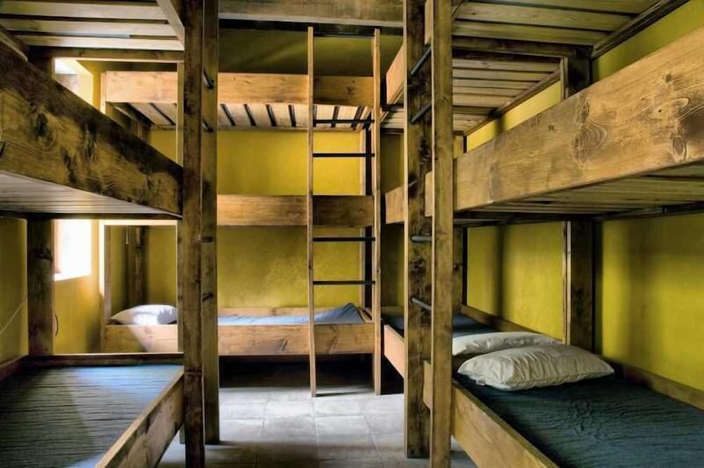Basic Shared Dormitory, Mixed Dorm (1 Bed In A 15-Bed Dormitory Room)