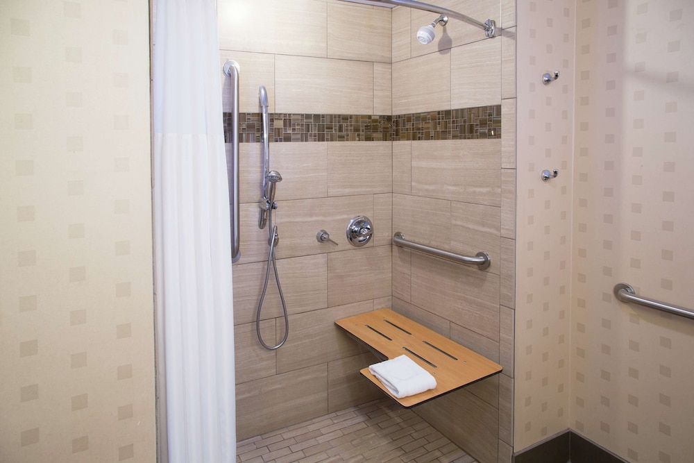 Room, 1 King Bed, Accessible, Non Smoking (w/ roll-in shower) - Photo 6