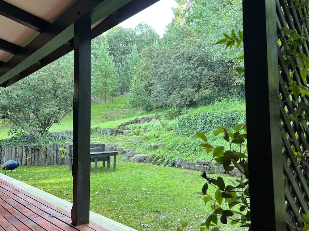 Family Triple Room, Mountainside photo 2