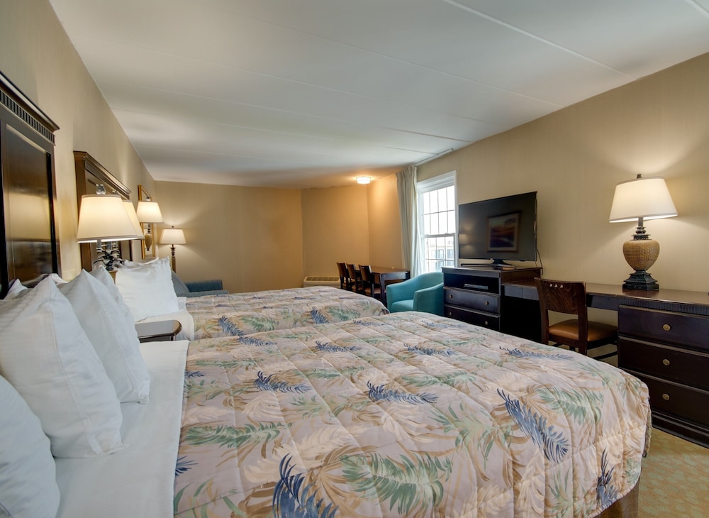 Room, 2 Queens and 1 Sofa Bed, Kitchenette  (Waverley Bayside Efficiency) No Balcony photo 1