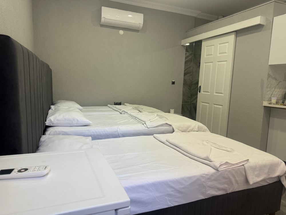 Basic Triple Room
