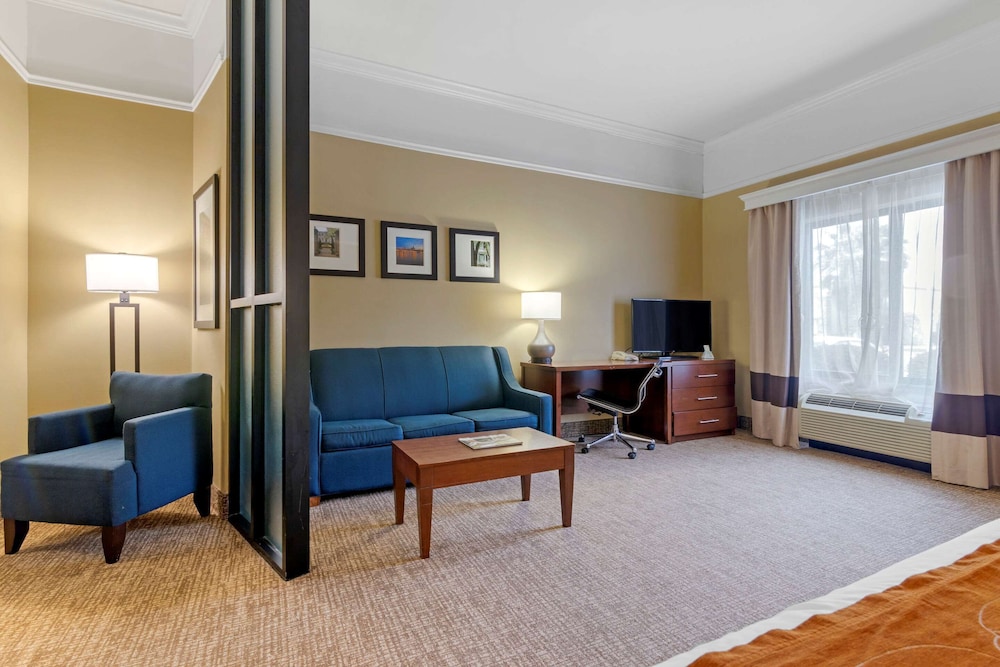 Suite, Multiple Beds, Accessible, Non Smoking - Photo 8