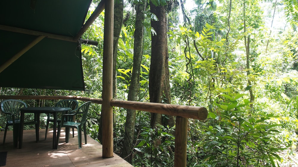 Economy Tree House, 1 Double Bed photo 2