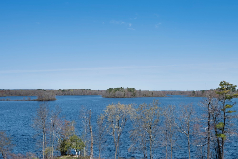 Studio, Multiple Beds, Lake View photo 3