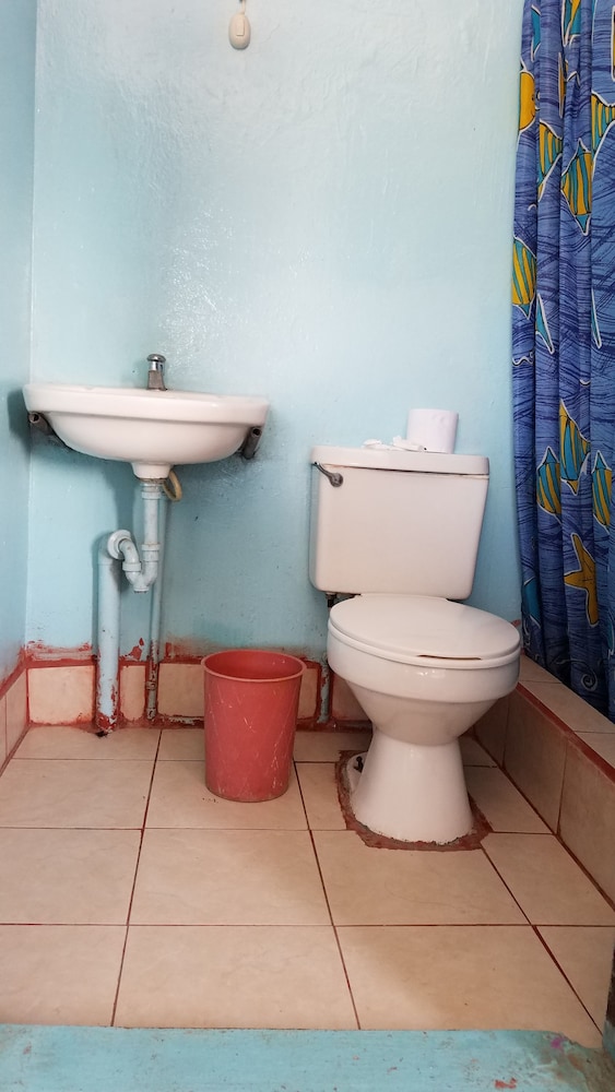 Basic Room, Multiple Beds, Private Bathroom photo 3