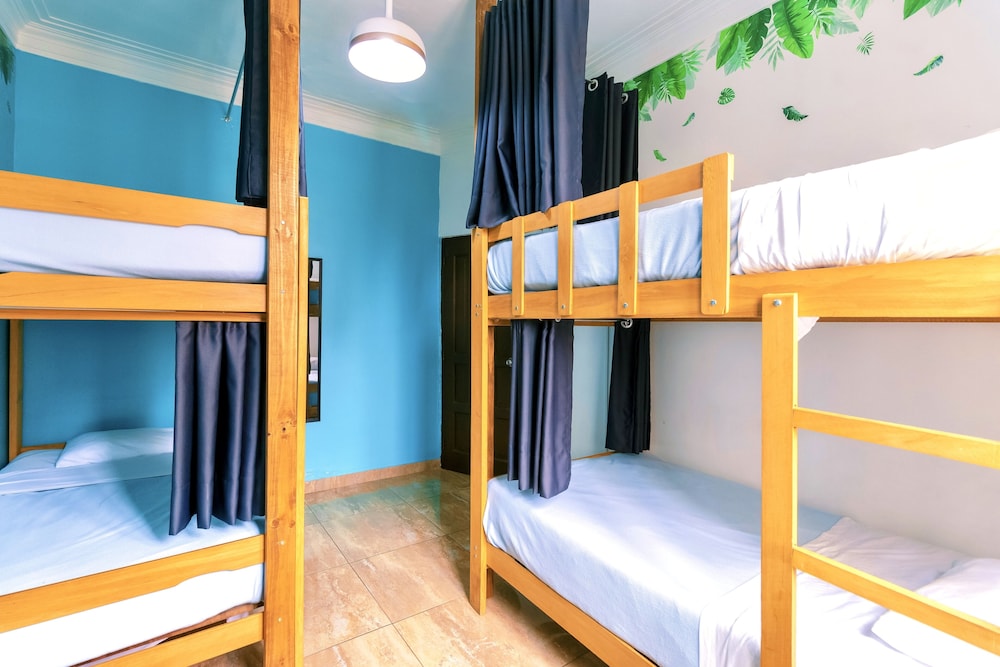 Superior Shared Dormitory photo 2