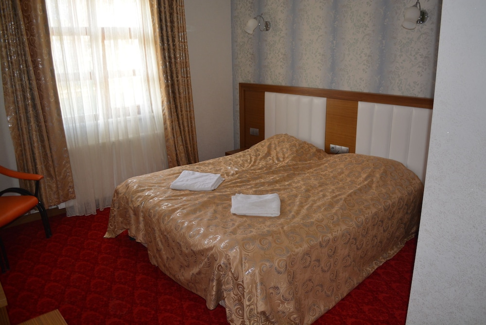 Standard Double Room Single Use