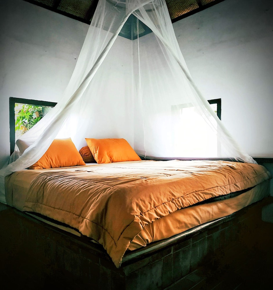 Classic Room - Photo 1