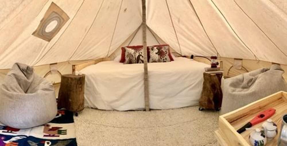 Panoramic Cabin, 1 Queen Bed, Non Smoking photo 2