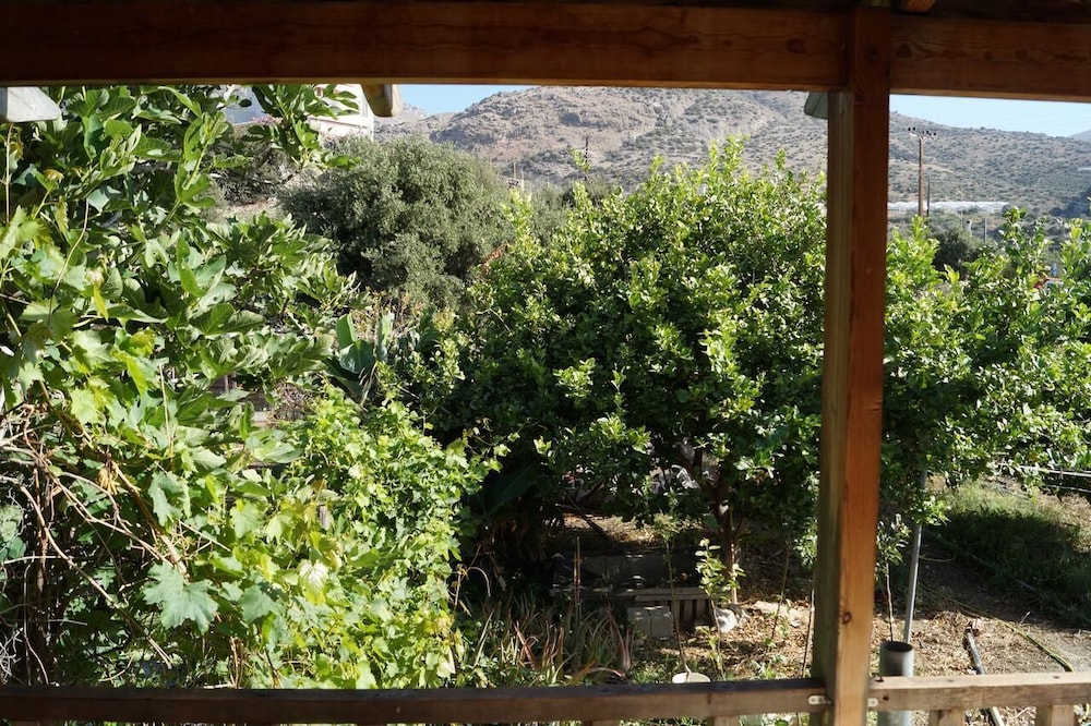 Studio, Garden View photo 2
