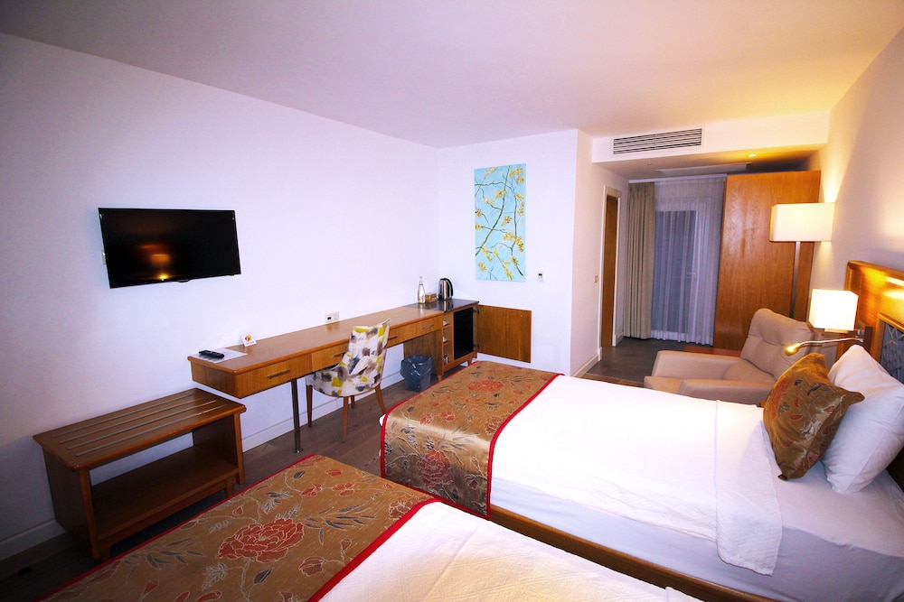 Deluxe Twin Room, 1 Bedroom photo 3