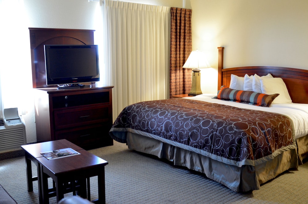 Studio Suite, 1 King Bed with Sofa bed, Kitchen