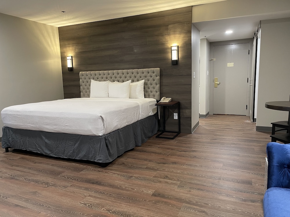 Premium Studio Suite, 1 King Bed With Sofa Bed photo 2