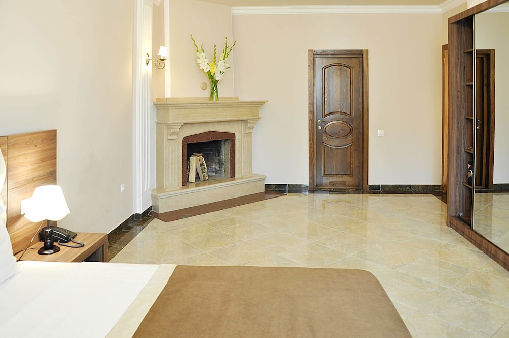 Luxury Room photo 1