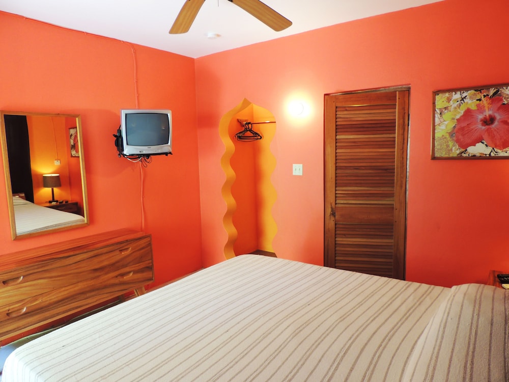 Deluxe Double Room, 1 King Bed, Garden View photo 2