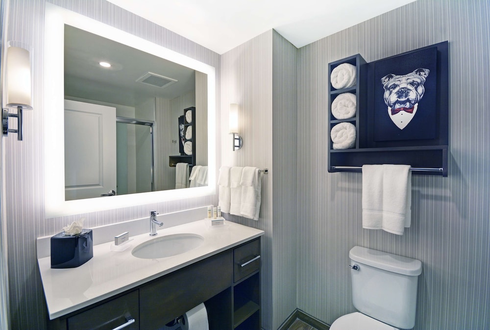 Suite, 1 King Bed, Accessible (Roll-In Shower) - Photo 6