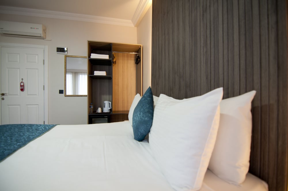 Deluxe Room photo 2
