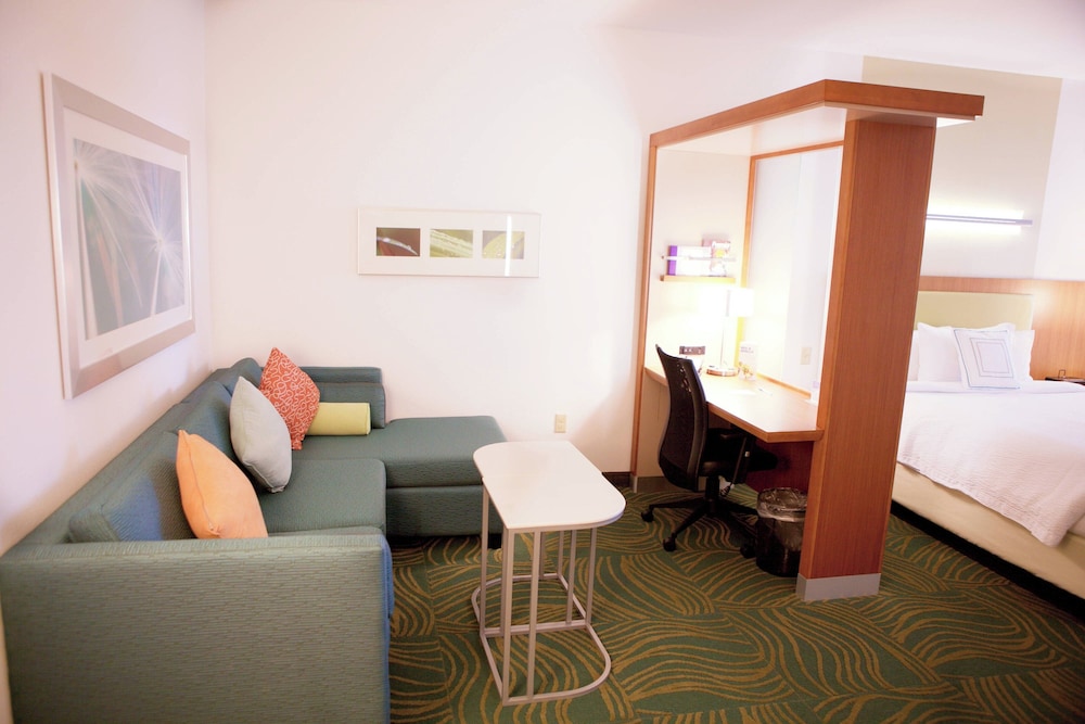 Suite, Multiple Beds photo 3