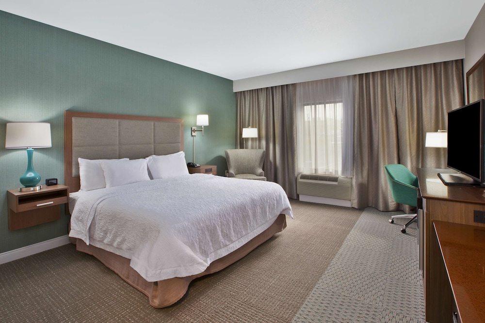 Room, 1 King Bed, Accessible, Non Smoking (Roll In Shower)