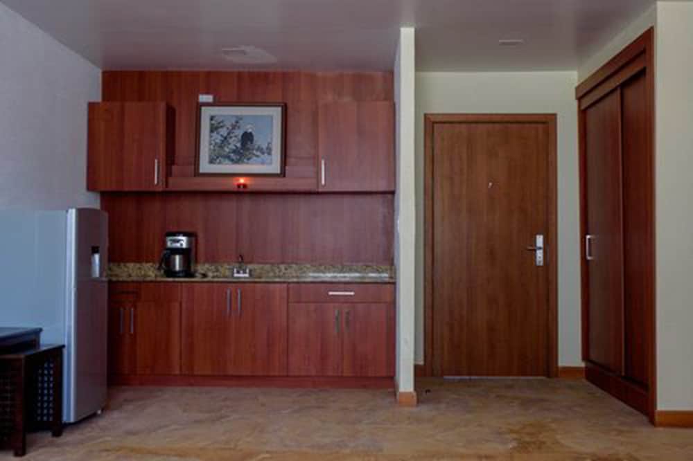 Honeymoon Suite, 1 King Bed with Sofa bed, Accessible photo 3
