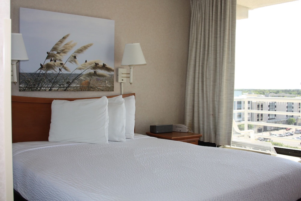 Suite, 1 Queen Bed with Sofa bed photo 1
