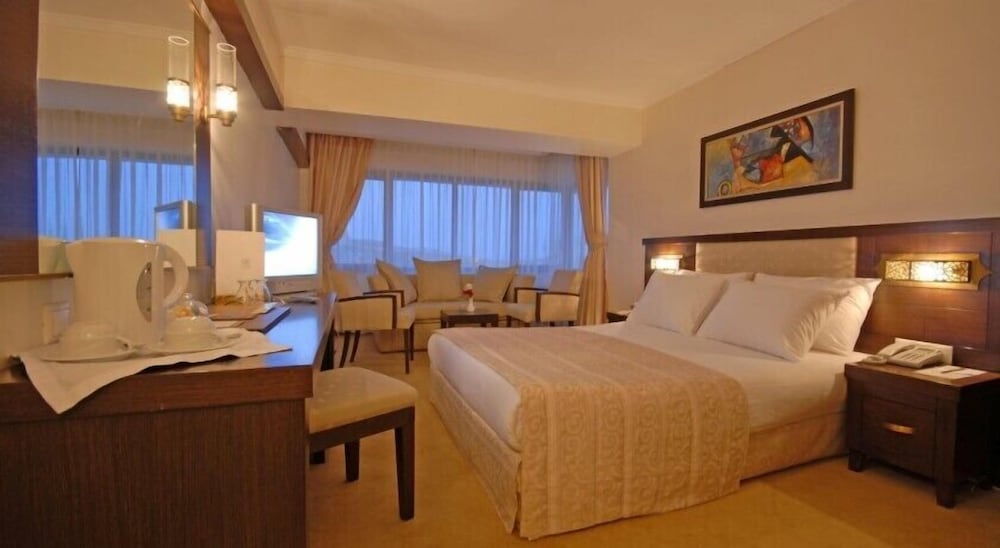Deluxe Suite photo 1